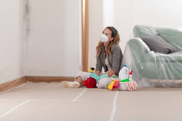 Reliable Mold Inspection contractor in Greenville, FL by WQB Mold Removal
